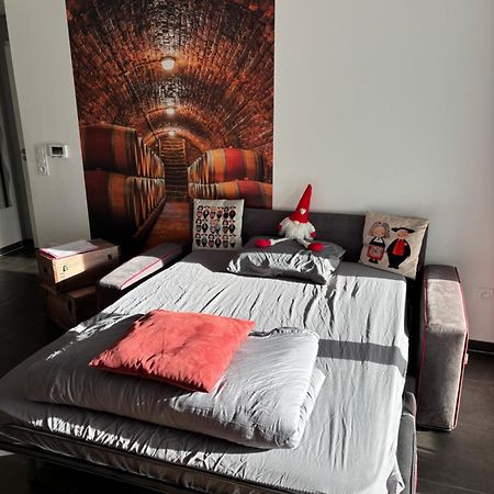 Le Riesling Colmar Centre Charmant Appartement Avec Terrasse Et Parking Gratuit Exterior photo