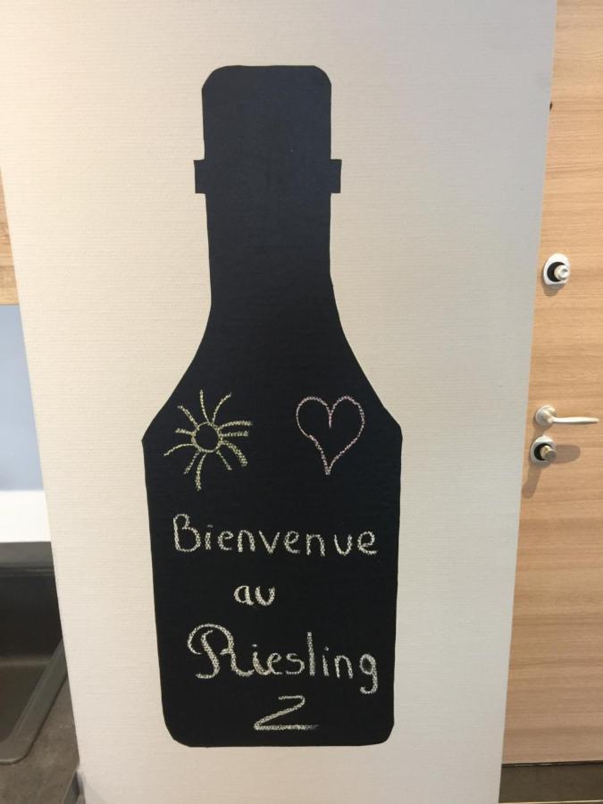 Le Riesling Colmar Centre Charmant Appartement Avec Terrasse Et Parking Gratuit Exterior photo