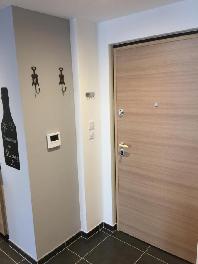 Le Riesling Colmar Centre Charmant Appartement Avec Terrasse Et Parking Gratuit Exterior photo