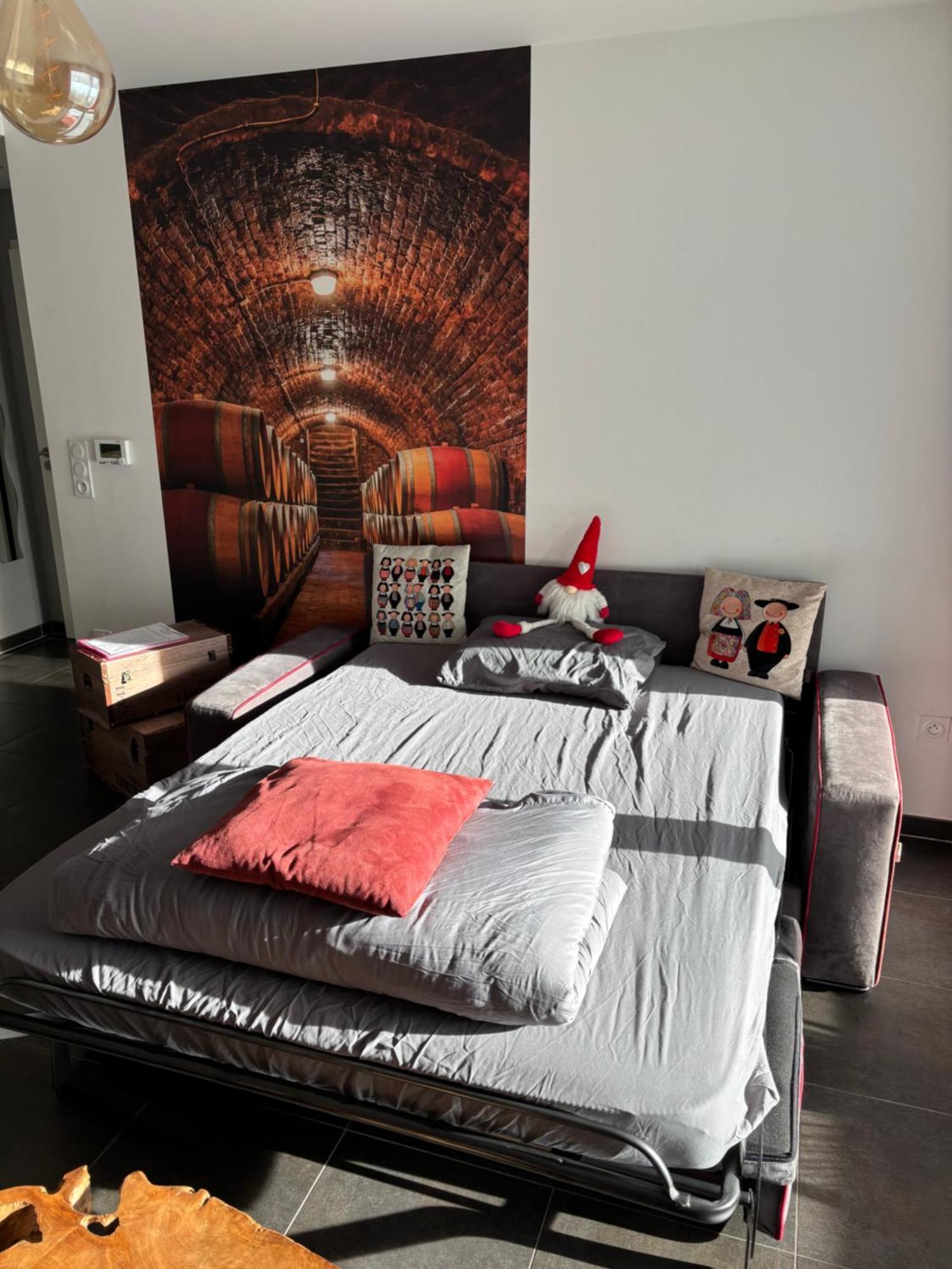 Le Riesling Colmar Centre Charmant Appartement Avec Terrasse Et Parking Gratuit Exterior photo